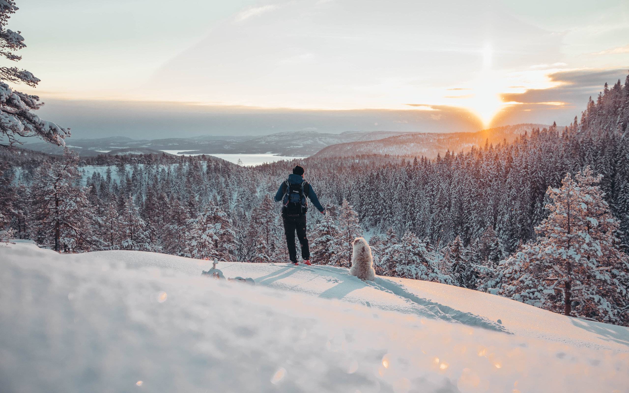Skuleskogens nationalpark i vinterskrud