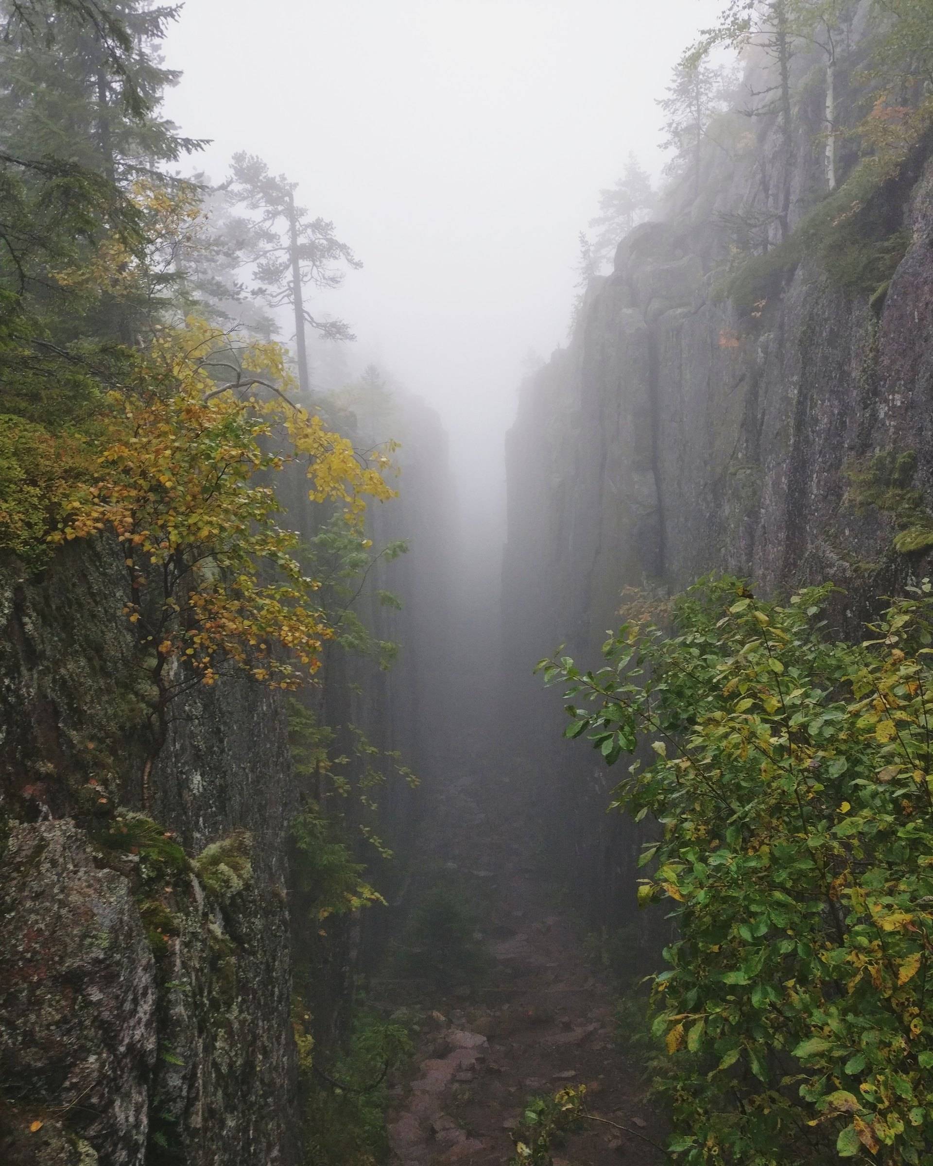 Slåttdalsskrevan i Skuleskogen